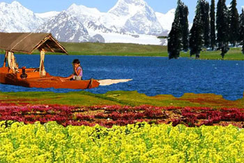 Jammu and Kashmir